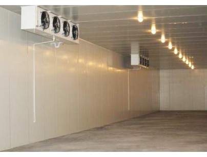 福建東南電化(低溫化學(xué)品）化工原料防爆冷庫(kù)工程建造方案