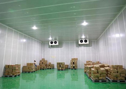 新疆冰容低溫倉(cāng)儲(chǔ)冷庫(kù)出租內(nèi)景圖