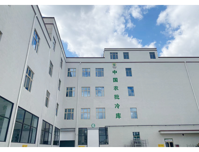 江蘇啟東22540立方米農(nóng)產(chǎn)品國際物流港冷庫規(guī)劃設計工程項目