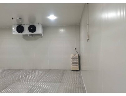 上海優(yōu)寧維集團(tuán)生物醫(yī)藥冷藏、冷凍庫工程案例