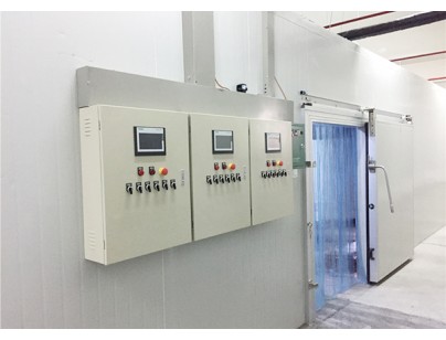 浙江華海藥業(yè)股份有限公司醫(yī)藥試劑及原料冷庫設計建造