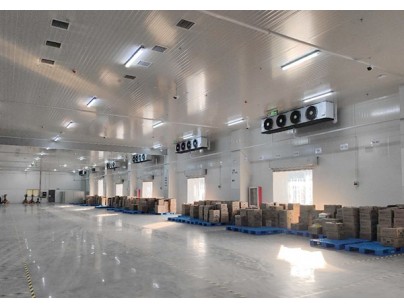 17000m3生鮮電商冷庫(kù)叮咚買菜冷鏈物流配送中心冷庫(kù)工程建造方案