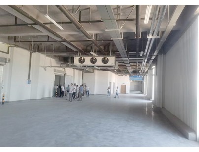河北尚品（澳門）15000m3倉(cāng)儲(chǔ)物流低溫冷藏冷凍庫(kù)建造方案