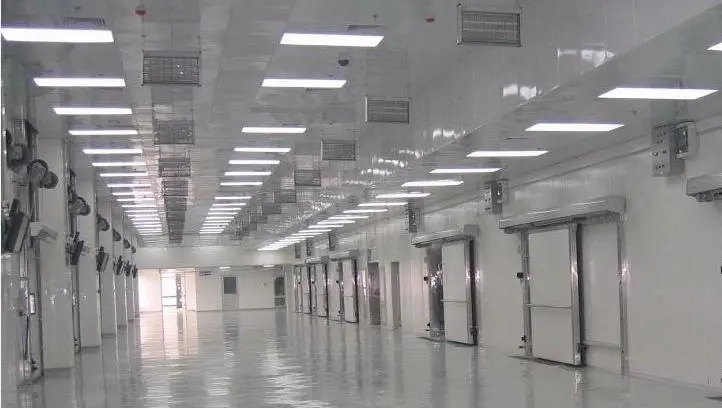 大型冷庫費用標(biāo)準(zhǔn)多少錢一平方