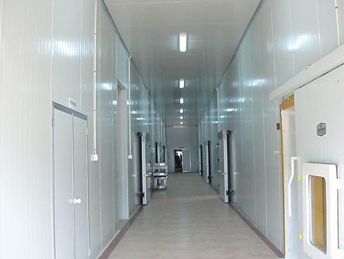 大型冷庫建設成本需要多少錢一平米？