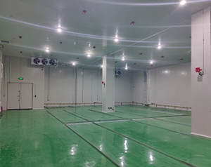 成都建造450立方鋰電防爆冷庫設(shè)計(jì)方案標(biāo)準(zhǔn)