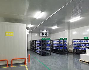 建一個(gè)專業(yè)診斷試劑冷庫造價(jià)費(fèi)用成本多少錢?