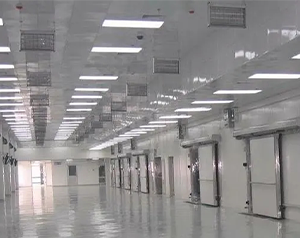 大型冷鏈物流冷庫(kù)設(shè)計(jì)定做冷庫(kù)多少錢一平方合適？