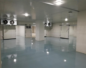 疫苗冷庫建造中的空間規(guī)劃和布局要點