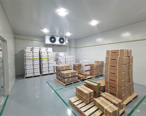 gsp醫(yī)藥冷庫(kù)（疫苗冷庫(kù)）建造多大面積合適