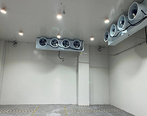 防爆冷庫(kù)是什么意思？化工防爆冷庫(kù)廠家聯(lián)系方式