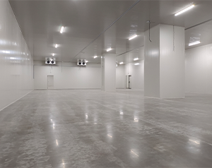 高效血漿蛋白冷庫建造指南:關(guān)鍵要點(diǎn)解析