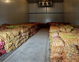 建造 1000噸食品加工冷庫大概需要多少錢？