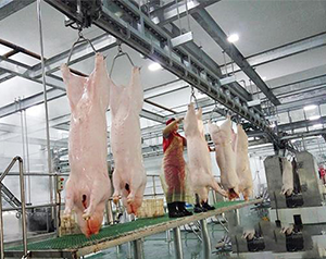 豬肉加工廠冷庫如何進(jìn)行設(shè)計(jì)建造？