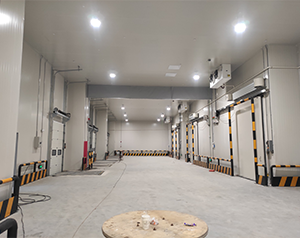 100立方保鮮冷庫造價大概需要多少錢？