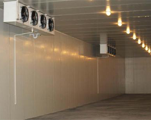 500噸冷庫造價大概需要多少錢？