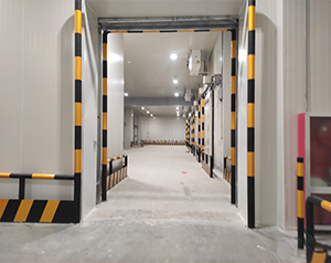 建造一個2000平方米的水果冷庫的價(jià)格在多少錢左右