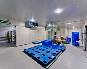 20平方小型醫(yī)藥冷庫造價(jià)多少錢