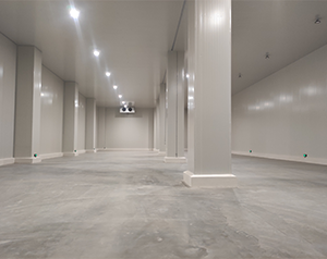 生姜保鮮冷庫的保鮮方法是什么？