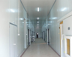 山楂可以冷凍么，如何利用山楂冷庫保存