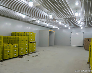 蔬菜制種有“錢(qián)”途 冷庫(kù)也來(lái)助你一臂之力