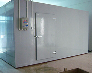 建造一個(gè)垃圾冷庫(kù)要多少錢