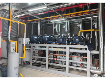 四川眉山35000立方米食品儲(chǔ)藏加工配套冷鏈物流冷庫建造工程