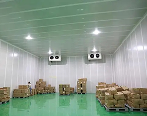 倉儲物流冷庫建造方案設(shè)計(jì)