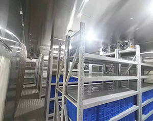 超低溫冷庫制作廠家_提供可靠、高效的冷藏解決方案