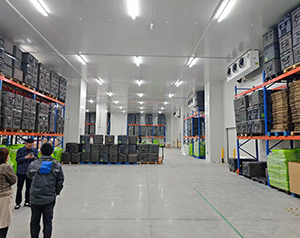 專業(yè)藥品冷庫安裝設計,