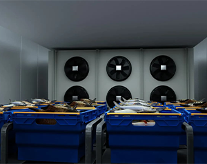 江西800立方生鮮冷庫造價預(yù)估多少？