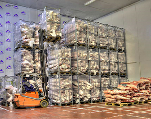 建造一個(gè)10噸的肉品冷凍庫(kù)多少錢？