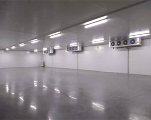 海南1500平醫(yī)藥倉庫冷庫造價多少錢？