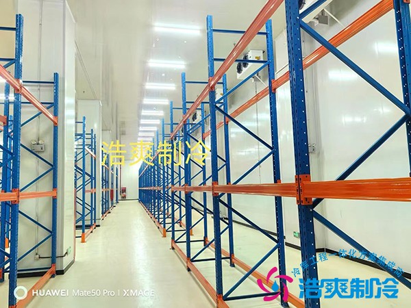 專業(yè)藥品冷庫設計安裝