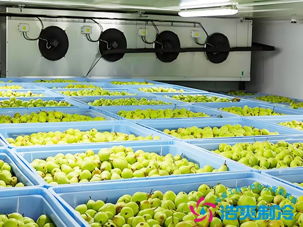 水果冷庫(kù)造價(jià)