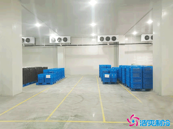 冷藏庫建設(shè)造價(jià)多少錢