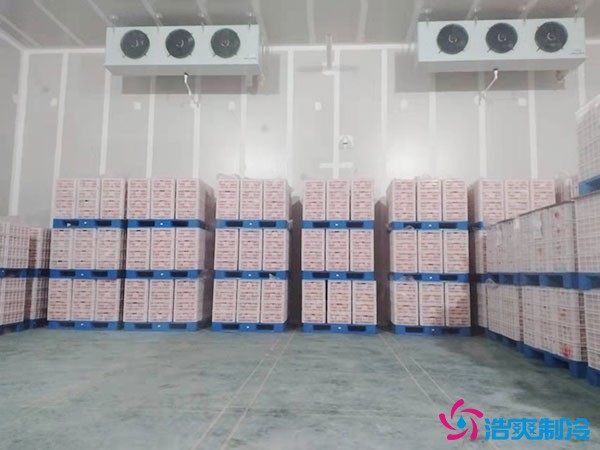 水果恒溫貯藏庫造價