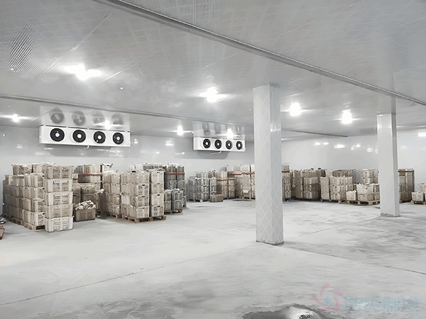 高標(biāo)準(zhǔn)冷庫(kù)建設(shè)多少錢一平方？