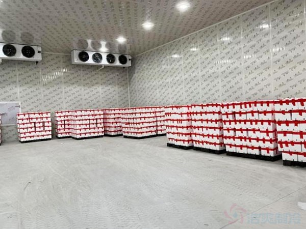 蘋果冷藏庫建設費用一平方多少錢?