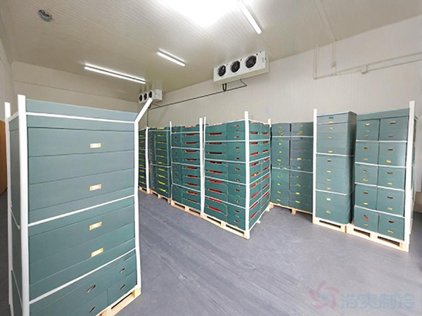 冷藏保鮮庫(kù)建設(shè)要求標(biāo)準(zhǔn)規(guī)范及造價(jià)預(yù)算