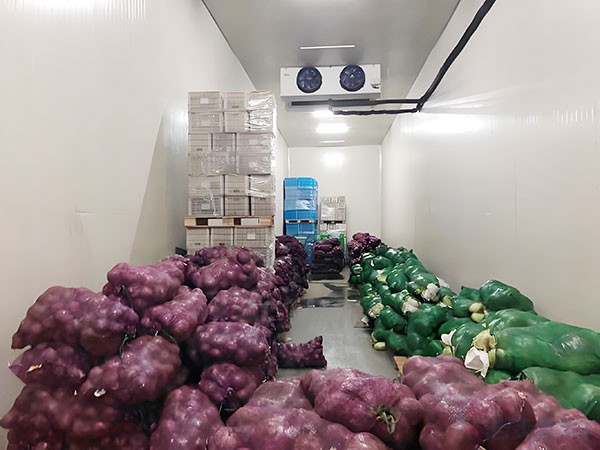 上海建一個(gè)蔬菜保鮮冷庫造價(jià)要多少錢