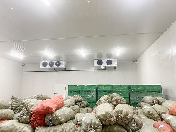 上海蔬菜冷庫(kù)建造公司