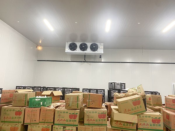 福建生鮮果蔬冷庫(kù)造價(jià)表