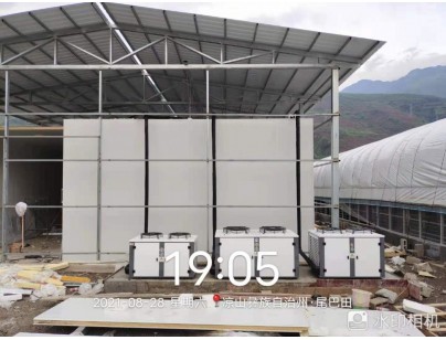 四川桑枝食用菌現(xiàn)代農(nóng)業(yè)園區(qū)氣調(diào)保鮮冷庫(kù)工程建造案例