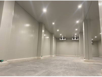 江蘇太倉(cāng)遠(yuǎn)洋物流二氧化碳復(fù)疊系統(tǒng)冷庫(kù)建造工程案例