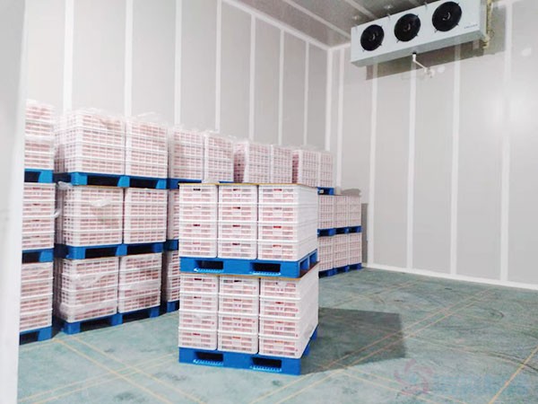 氣調(diào)保鮮庫建設(shè)