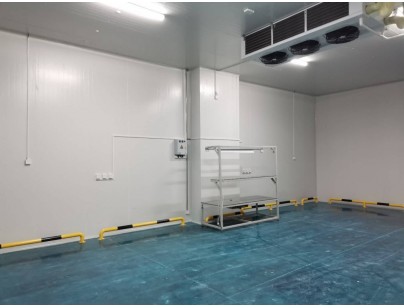 伊利乳業(yè)高標(biāo)準(zhǔn)乳制品加工冷鏈倉(cāng)儲(chǔ)冷庫(kù)建造工程案例