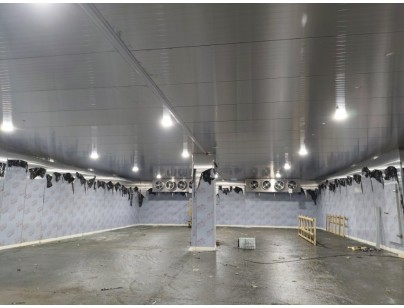 浙江省寧波市余姚創(chuàng)豐毛皮制品1206m3原料儲(chǔ)藏冷庫(kù)工程案例