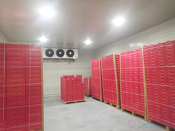 上海冷庫建設(shè)