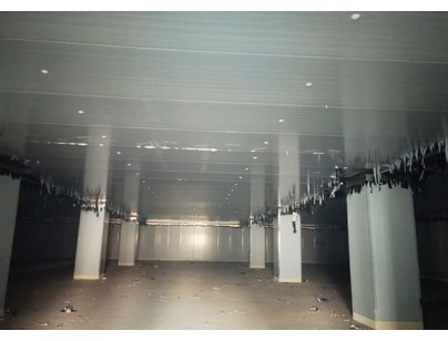 浙西南大宗物資倉配交易中心農(nóng)產(chǎn)品深加工基地冷庫工程案例